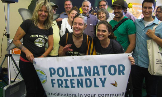 What is The Bee Haven Project? Take Action 🐝