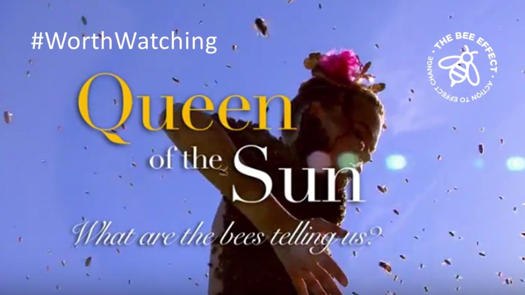 Documentary: Queen of the Sun