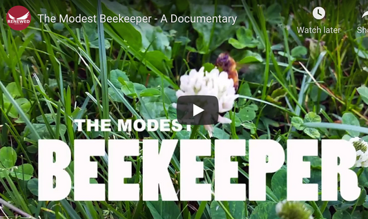 Documentary: The Modest Beekeeper