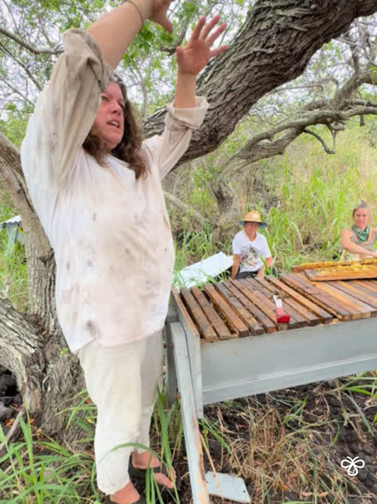 Regenerative Beekeeping: What It Means to Keep Bees Without Taking From Them