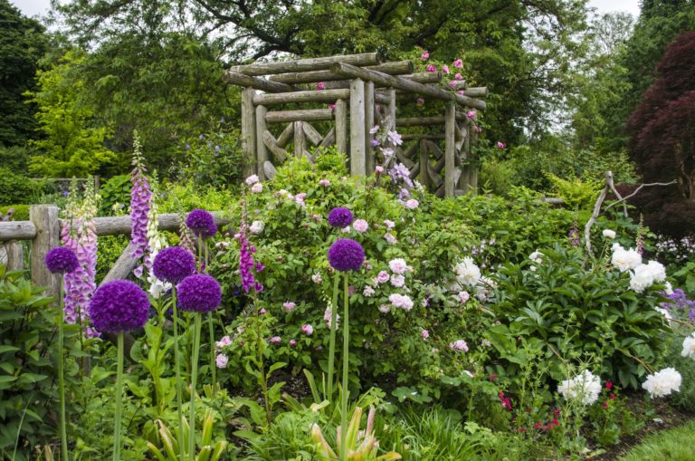 Guide to Transform Your Lawn into a Pollinator Friendly Garden