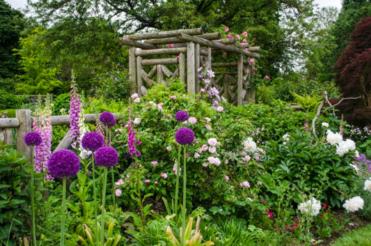 Guide to Transform Your Lawn into a Pollinator Friendly Garden